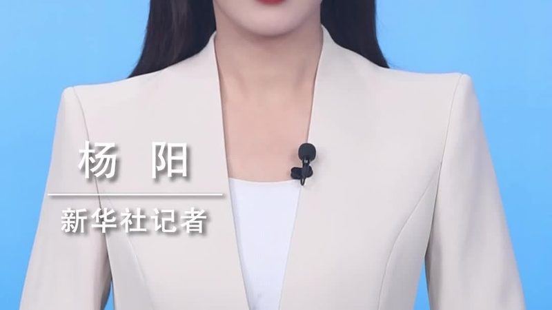 企业数字化转型的关键路径：从规划到落地**